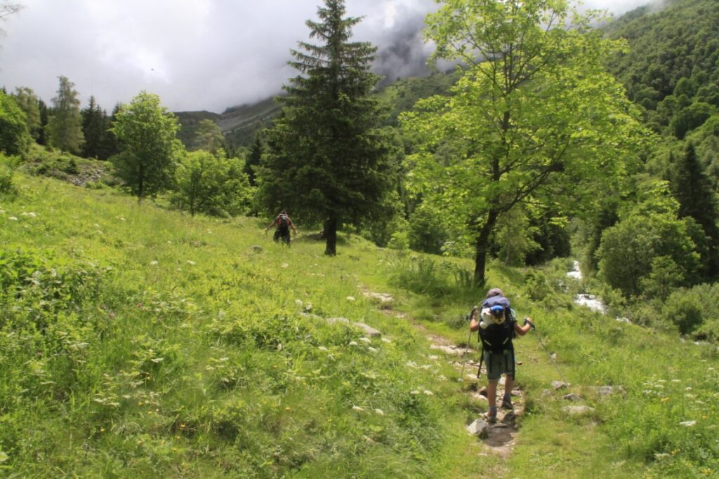 Dans la montée